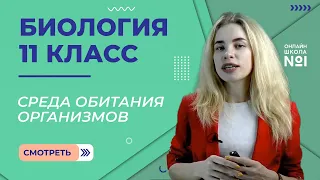 Среда обитания организмов и её факторы. Видеоурок 18. Биология 11 класс