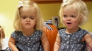 Jack & Jack-O-Lanterns | Our Little Family