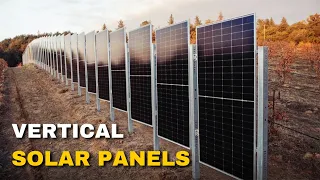 Vertical Solar Panels Could Save Farm Land And Transform Agriculture