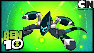 Królowa Pszczół | Ben 10 Po Polsku | Cartoon Network