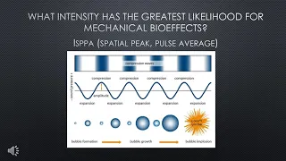 Ultrasound Physics Project - Bioeffects