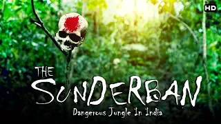 भारत का सबसे खतरनाक जंगल "सुंदरबन" | The Dangerous Sundarban
