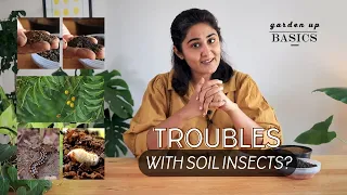 For soil insects use this | Garden Up Basics Ep.35