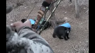 Bowhunting Bear with LongBow