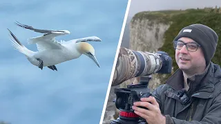 A Challenging Day of Bird Photography Pays Off! (Birds in Flight Photography)