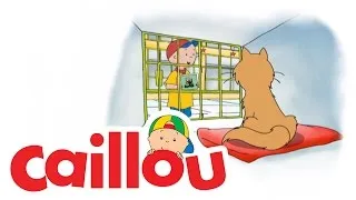 Caillou - Where's Gilbert?  (S04E01) | Videos For Kids