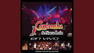 Compréndala (En Vivo)