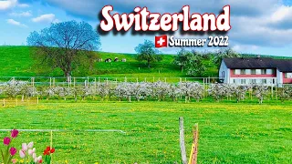 Switzerland 4K - Summer 2022 | A scenic relaxation walk tour in Swiss nature !