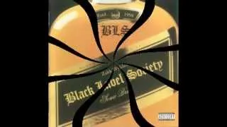 Black Label Society - Bleed For Me