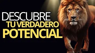 🦁 EL LEON QUE TE ENSEÑÓ A ENCONTRAR TU VERDADERO YO | CUENTO BUDISTA DEL LEON COBARDE