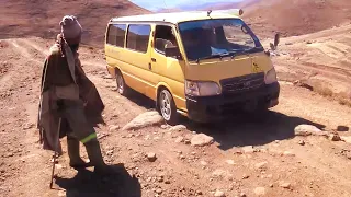 Calmness, courage, strength... the great qualities of a bush taxi