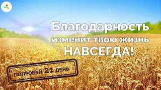 Утренняя медитация благодарности: мощная мотивация на весь день + высокие вибрации