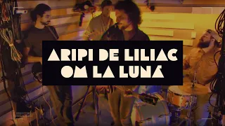 om la lună — Aripi de Liliac (Official Video)