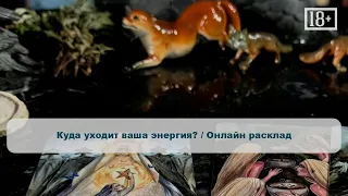 Куда уходит ваша энергия? / Онлайн расклад