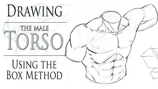 Drawing the Male Torso - Boxing in Method