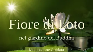 Fiore di Loto nel Giardino del Buddha - Meditazione Guidata