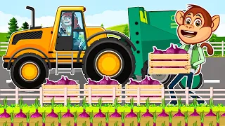 How Millions of Onions are Harvested &Transported To the Warehouse| Funny Monkeys, Vehicles Farm
