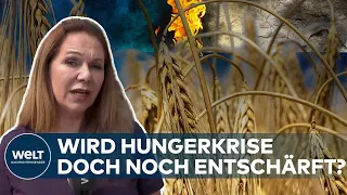 HUNGER-KRISE: Russland und Ukraine beraten in Istanbul über Getreidelieferungen | WELT Thema