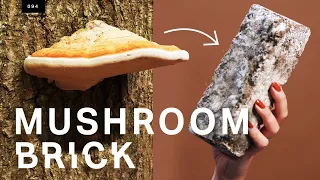 This mushroom brick could replace concrete