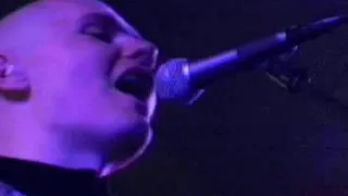 Smashing Pumpkins - 1979 Live at the Metro Dec 2002 +Documentary.