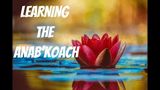 LEARNING THE ANAB'KOACH