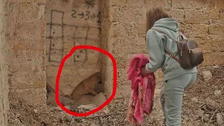 Scared to Death Puppy Kept Facing the Wall Until She Met her Mama