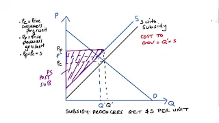 Subsidies on Producers in Perfect Competition