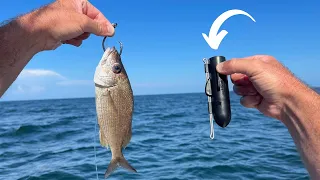 I Dropped A Live BAIT Down Attached To A Camera And Caught THIS! *Catch, Clean & Cook*