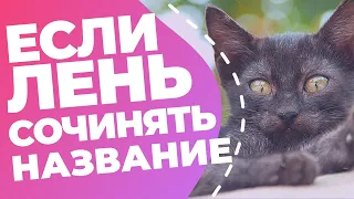 НАЗВАНИЕ — создаём автоматически // Онлайн-генераторы нейминга // Обзор сервисов