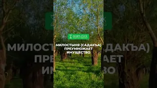 Милостыня (садакъа) преумножает имущество | Абу Яхья Крымский