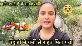 पहाड़ों में गर्मी से राहत मिल गयी ⛈️|| Kitchen Garden tour|| Pahadi lifestyle Vlog ||Girl from North