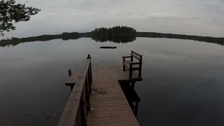 Käydään kalaverkkoja kokemassa ensimmäistä kertaa tänä kesänä. Let's check the fishing nets