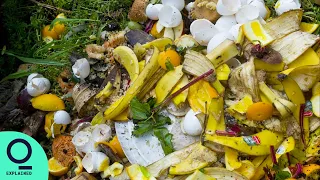 Food Waste Is a Major Climate Problem | Net Zero