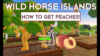Wild Horse Islands - How to get PEACHES!