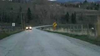 elk trips over fence