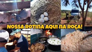 VIDA NA ROÇA| ALIMENTANDO OS ANIMAIS - PREPARAMOS AS COMIDAS TUDO NO FOGÃO À LENHA