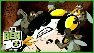 Ben 10 | Take 10 (Hindi) | Cartoon Network