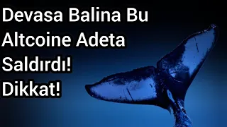 Devasa Balina Bu Altcoine Adeta Saldırdı! Dikkat! | Kripto Haber.