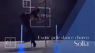 "Copycat - Billie Eilish" - Exotic pole dance choreo from Sofia