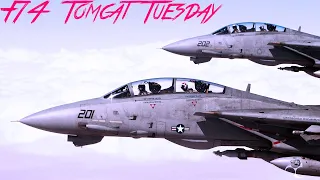 F14 Tomcat Tuesday