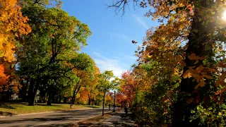 Beautiful autumn color on Mississippi River Blvd. St. Paul, MN. GoPro 10 4K UHD