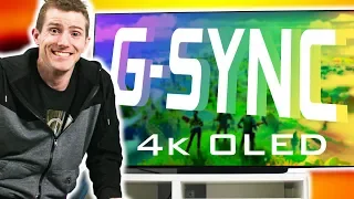 Gaming Bliss - G-SYNC on LG OLED TVs!!!