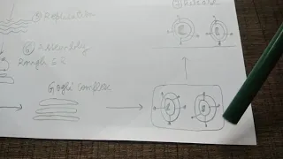 Decoding covid 19 part 1