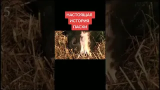 Настоящая история Пасхи...