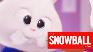 ‘The Secret Life of Pets 2’ Snowball Trailer