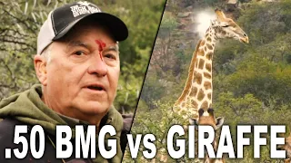 .50 BMG vs GIRAFFE | Getting scoped by a .50 BMG