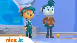 Отважные птенцы | Бумеранг | Nick Jr. Россия