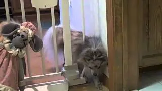 Escape Artist