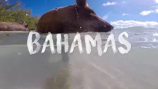 Bahamas- Swimming with pigs (Treasure Cay) in 4K