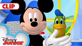 Donald Turns Into a Frog! 🐸 | Mickey Mouse Clubhouse |  @disneyjunior​